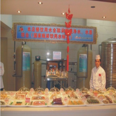洛阳酒店用反渗透纯净水生产设备